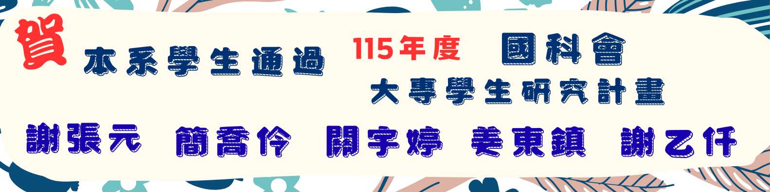 115大專生